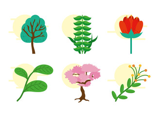 trees and leaves icon set, colorful design