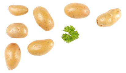 Potatoes and parsley isolated on white background with copy space for your text. Top view. Flat lay pattern. Potatoes in air, without shadow.