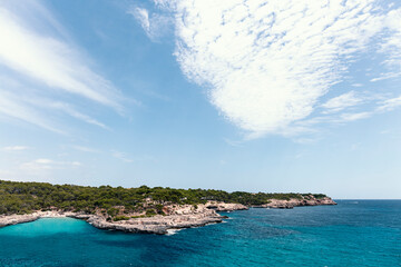 Coastline with forests