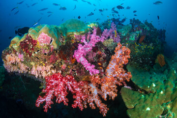 Fototapeta na wymiar Vibrant, colorful coral reef full of tropical fish and seafans