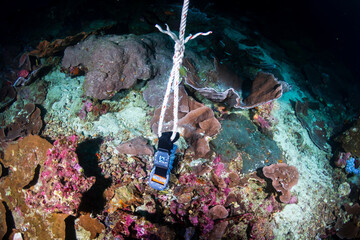 Carelessly dropped SCUBA diving weight belt lying on top of damaged coral on a reef in Thailand