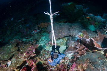 Carelessly dropped SCUBA diving weight belt lying on top of damaged coral on a reef in Thailand