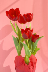 Beautiful red tulips in the vase with a pink background. Holiday and love concept.