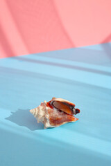 Obraz na płótnie Canvas Seashell with shade on the blue background. Creative colorful minimalism. Copy space.