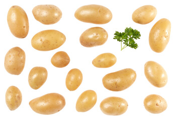 Potatoes and parsley isolated over white background. Top view. Flat lay pattern. Potatoes in air, without shadow.