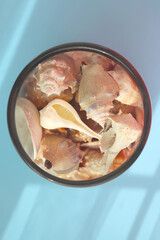 Seashell with shade on the blue background. Creative colorful minimalism. Copy space.