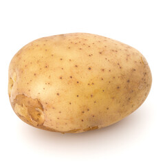 new potato tuber isolated on white background cutout.