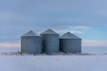 Grain bins in rural Alberta in the early morning. 