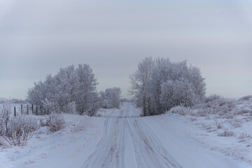 Rural road in winter. 