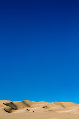 Sand dunes agains the blue sky. Nature landscape. National park, Great Sand Dunes Colorado