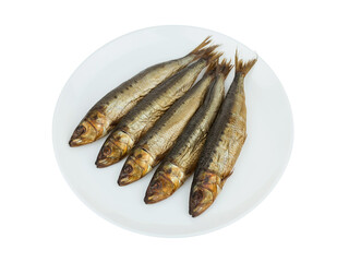 Cold smoked Capelin fish on a white plate. Isolated on a white background.