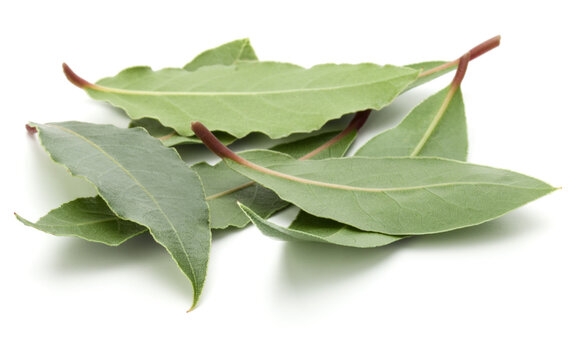 Aromatic bay leaves .