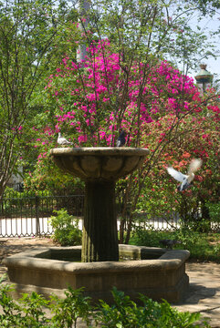 Une fontaine fleurie, La Havane, Cuba