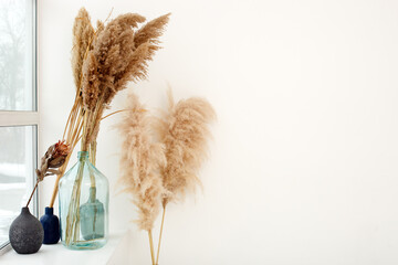 Pampas dry grass in blue vases on white background. Boho style decorations. Scandinavian minimalism...