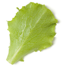 Lettuce  leaf salad isolated over white background. Top view, flat lay..
