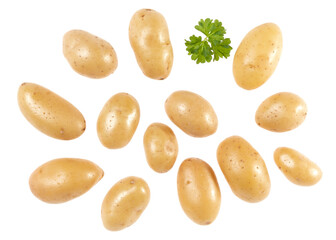 Potatoes and parsley isolated over white background. Top view. Flat lay pattern. Potatoes in air, without shadow..