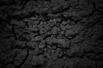 Black soil in the garden. Selective focus. Top view. Background. Texture.