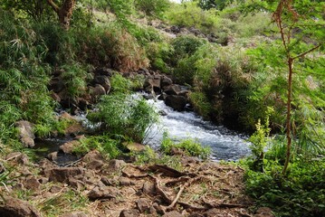 Wasserfall Nationalpark Arika Savanne Steppe Fluss Wasser waterfall