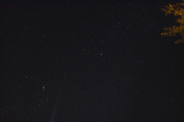 starry sky with constellation visible from the Southern Hemisphere