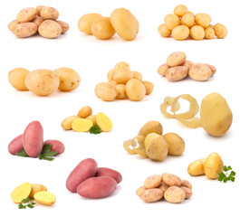 potato isolated on white background. Set of different composition of potatoes.