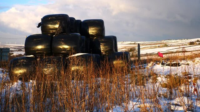 Hay bales stacked in the snow, with winter sun glow and cloudy sky. Plastic blowing in wind.