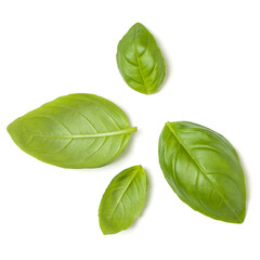 Sweet Basil herb leaves isolated over white background closeup. Flat lay, top view..