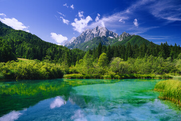 Green nature landscape. Amazing view on Zelenci (into English means - green) nature reserve and Alps mountains in Slovenia, Europe. Beautiful alpine valley with emerald lake at summer time.