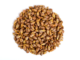 Grape Seed (Grapeseed) Pile. Top View. Isolated on White.