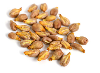 Closeup on Grape Seed (Grapeseed). Isolated on White.