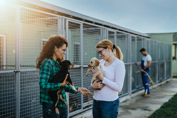 Two young adult women adopting beautiful dogs at animal shelter.