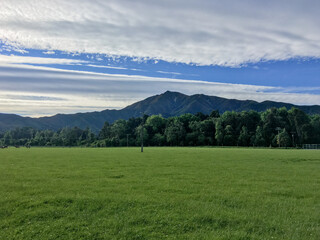 landscape in the summer