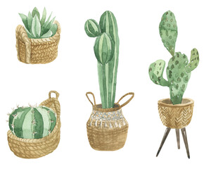 set of watercolor cactus in boho style