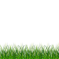 Fototapeta premium Grass, great design for any purposes. Nature background vector. Stock image. EPS 10.