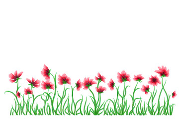 Obraz na płótnie Canvas Red poppies white background. Vintage nature illustration. Color pattern. Stock image. EPS 10.