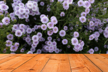 perspective wooden board over blurred flower garden