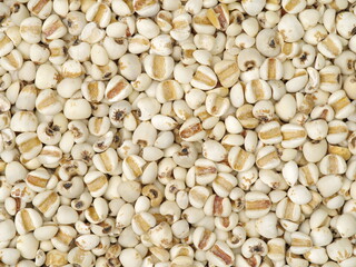 Job's tears background