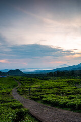 sunset over the hills