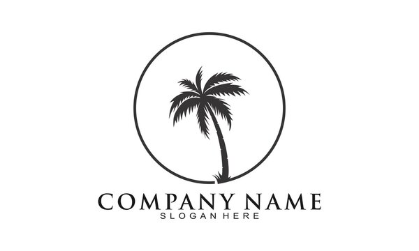 Palm tree icon vector logo