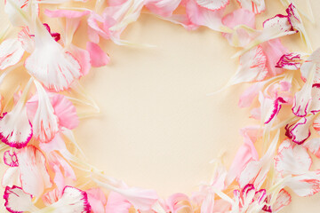 White and pink flower perform in circle over beige background.