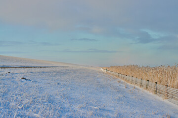 Fototapeta na wymiar The frozen fence near the North sea coastline