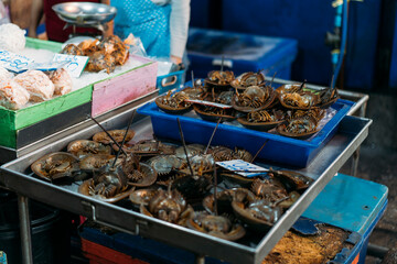 Horseshoe crabs sitting upside down on ice at a fresh market in Bangkok.