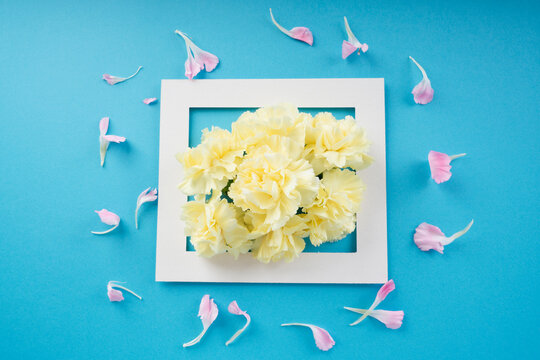 Mock up white frame with yellow flower over bright blue background.
