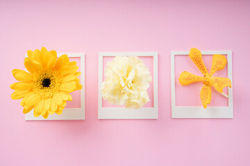 White mock up frame with varieties of flower over pink background.