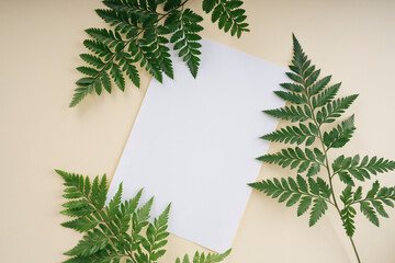 Tropical green leaves with white mock up paper over beige background with copyspace. Top view.