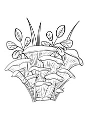 Mushrooms. Coloring, clip art, line art. Vector isolated illustration.