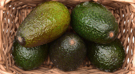 avocado on the market