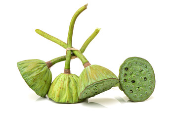 lotus seeds on white background