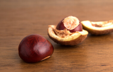 Buckeye Chestnut and conker in shell on wood.