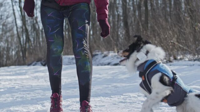 Dog doing tricks with trainer in the snow