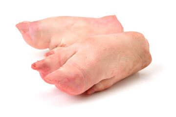 fresh pig trotter on white background